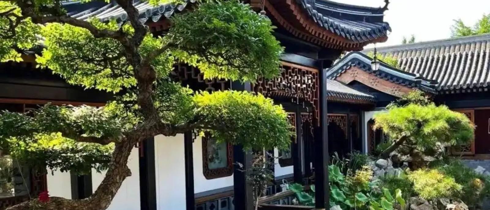 bsports新闻资讯栏目园林绿化资讯配图