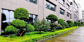 新沂市政绿化工程报价清单表模板