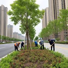 2026世界杯官网 新乡绿化工程管理局